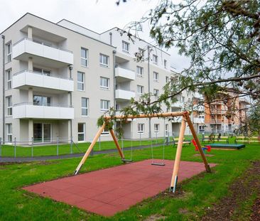 HOLLABRUNN XV/1 - Photo 6