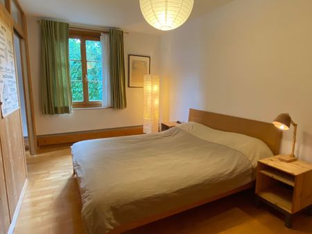 Charismatic 3-room apartment with idyllic garden and natural idyll in Maur - Photo 5