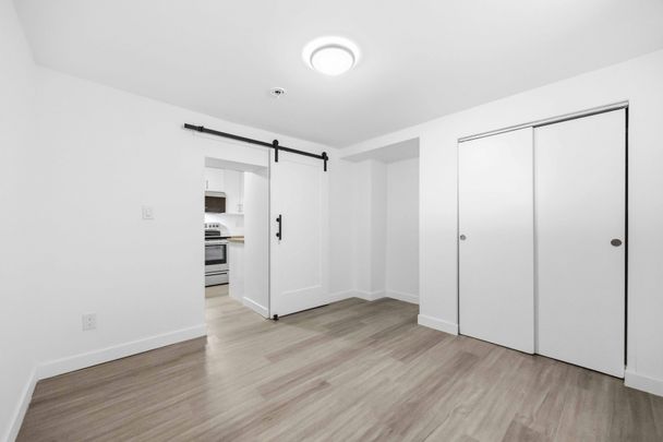 For Lease - 1A Leonard Avenue Unit# LOWER, Toronto, Ontario - Photo 1