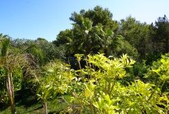 Chalet/casa independiente en alquiler en Playa