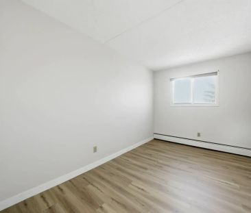 1 Bedroom - Photo 3