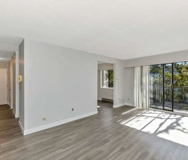 Don Quadra Apartments — 1 Bedroom available at 3244 Quadra Street, ... - Photo 4