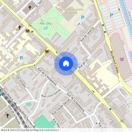 158 AVENUE DE STRASBOURG, Rene Ii Bonsecours La Madeleine, Nancy