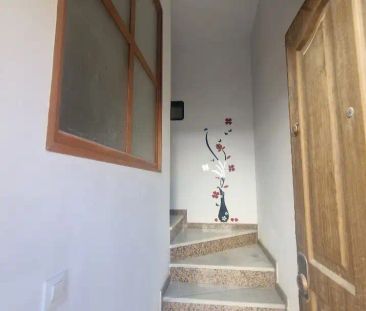 San Fernando - Photo 5