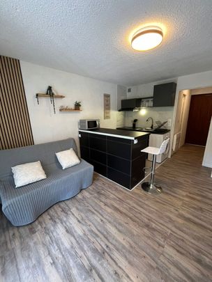 Location Appartement 1 pièce 24m² - Photo 1