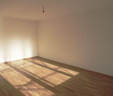 Achtung, fertig, Gundeli! - Photo 1