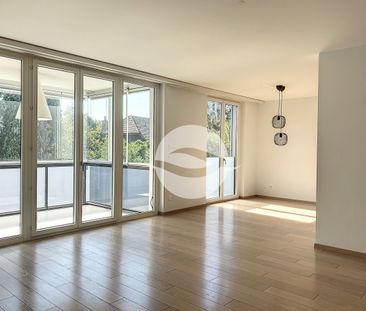 Vésenaz - Spacieux appartement de 6 pièces, calme absolu! - Photo 3