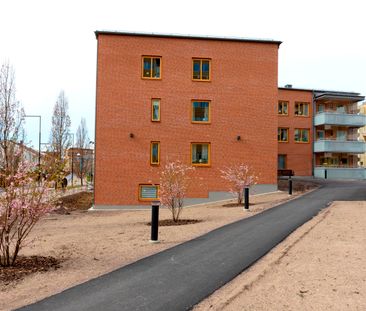 Nedre Rådmansgatan 8 - Foto 2