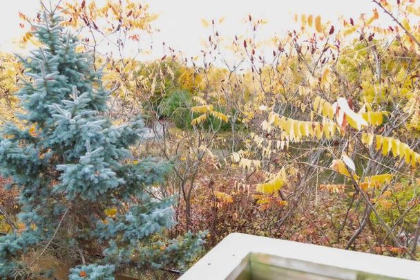 For Lease - 19 Durango Drive, Richmond Hill, Ontario - Photo 1