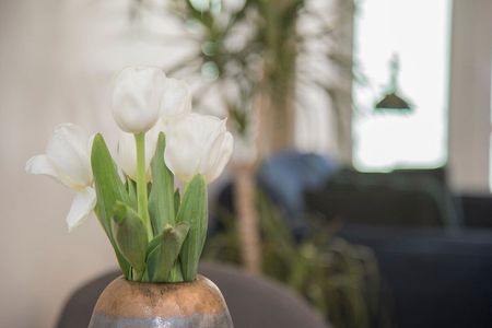 Rua do Pinheiro - Photo 4