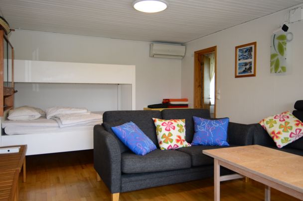 Lilla Vassbäcksvägen, Åsa - Photo 1