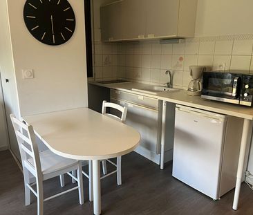 Location Appartement 1 pièce 22m² - Photo 4