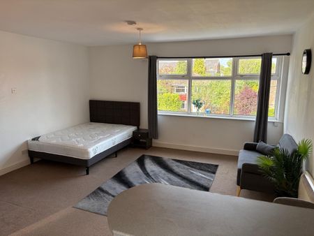 Studio Flat, Brook Road, M14 - Photo 4