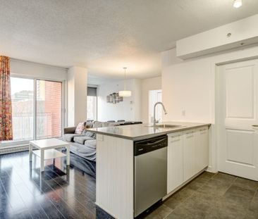 Appartement à louer - Montréal (Ville-Marie) (Centre) - Photo 4