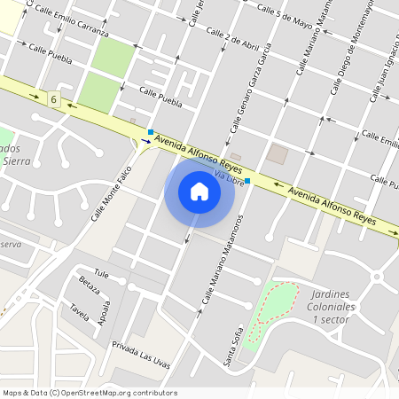 Calle Genaro Garza Garcia, Zona la Cima, San Pedro Garza García, Nuevo León, 66239, México