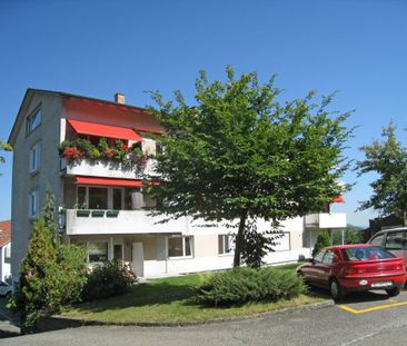 3-Zimmer-Wohnung an ruhiger und grüner Lage - Photo 4