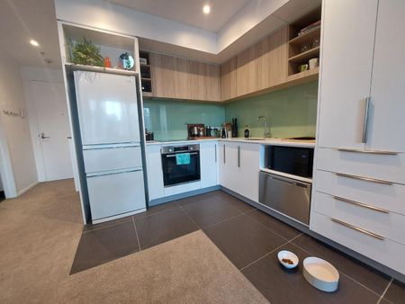 1 Bedroom mordern apartment - Handbag dog or Cat is welcome! - Photo 2