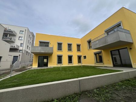 *NEUES PROJEKT* Urbanes Wohnen im Wildgarten ab 01.02.2025 - Foto 3