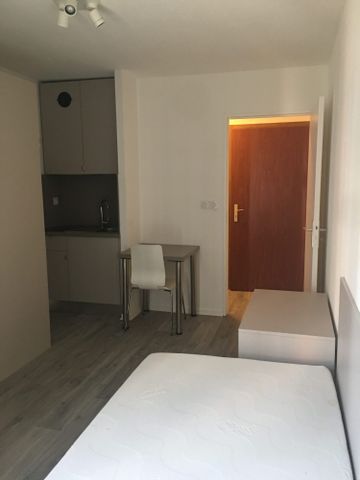 Location Appartement 1 pièce 20m² STRASBOURG 67000 - Photo 2