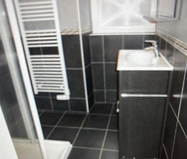 Location Appartement 3 pièces 45m² ST SAUVEUR DE MONTAGUT 07190 - Photo 2