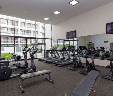 291/1 Mouat Street, Lyneham ACT 2602 - Apartment For Rent | Domain - Photo 5