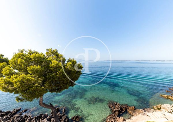 Piso de alquiler en Aucanada , Port d'Alcúdia - Platja d'Alcúdia
