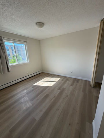Mainstreet 124th Apartments - Photo 4