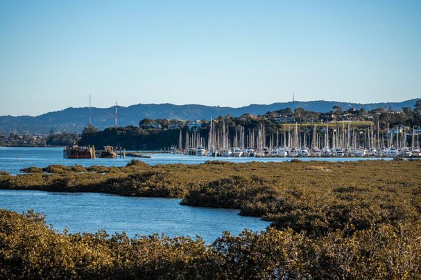 Coastal Living - Photo 1
