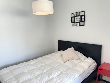 Appartement 1 pièce à Nancy - Photo 3