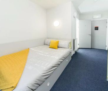 Bronze Ensuite - Photo 3