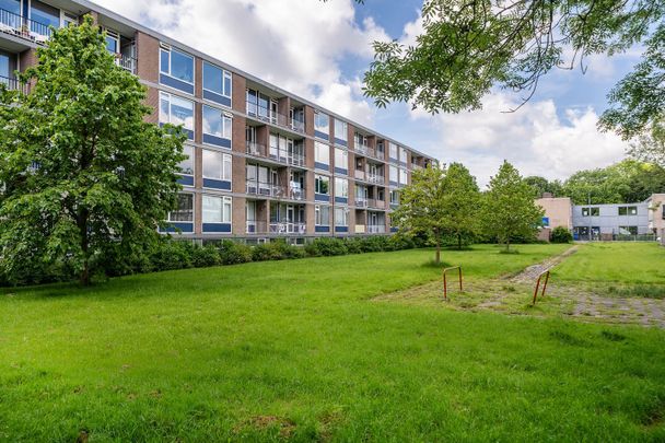 Te huur: Appartement Vegelinsoord 75 in Rotterdam - Foto 1