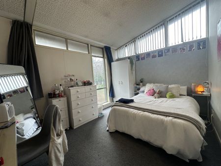 101A Waimairi Road, Ilam Christchurch - Photo 5