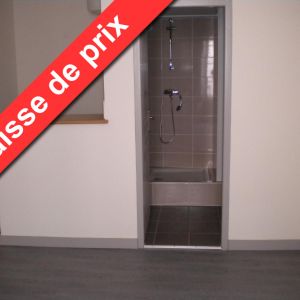 Location Appartement 1 pièce 25m² AUBENAS 07200 - Photo 2