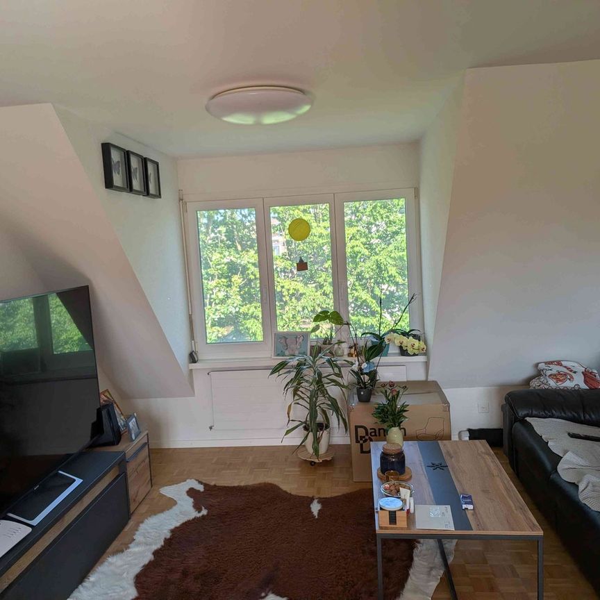 3 Zimmer, 66 m², 3. Stock - Foto 1
