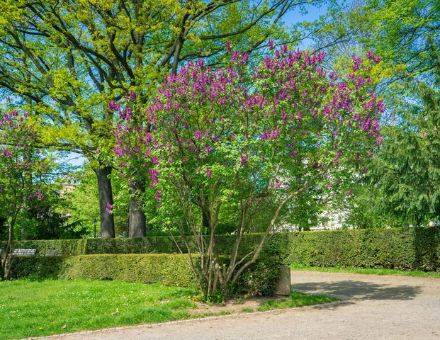 2-Raum-Wohnung - Photo 1