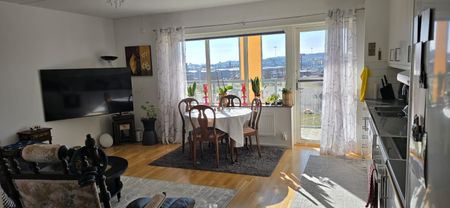 Björkrisvägen, Kungsbacka - Photo 4