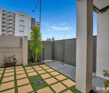 17/50 Henry Kendall Street, Franklin ACT 2913 - Townhouse For Rent ... - Photo 1