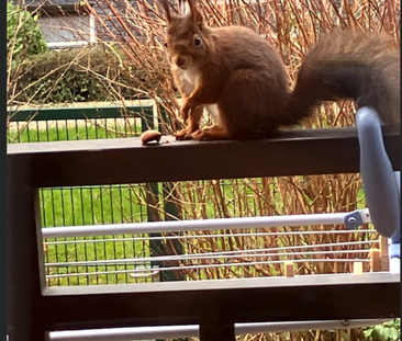 Großzügige 2 Zimmer Wohnung mit Balkon und Garten in ruhiger Lage - Photo 6
