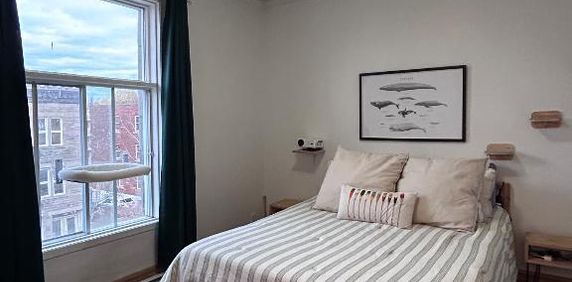 Cession de bail, grand 41/2 lumineux, Hochelaga - Photo 2