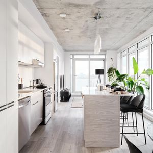 2 chambres - 388 Boulevard Saint-Joseph, Gatineau - Photo 3