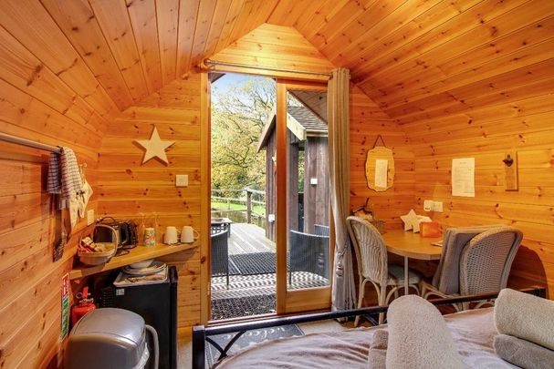 Studio to rent - Photo 1