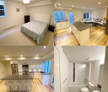 Newer Furnished 1 Bedroom Basement Suite - Photo 5