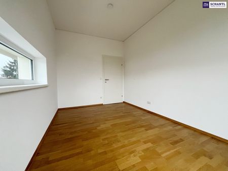 RIESIGE WESTTERRASSE mit 36m²! 2-Zimmer Wohnung im obersten Stock! Ab sofort verfügbar! Haustiere erlaubt! - Photo 3