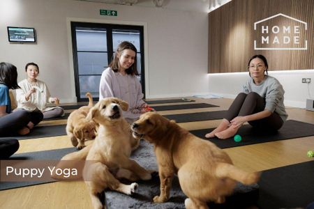 3 bedroom flat to rent - Photo 5