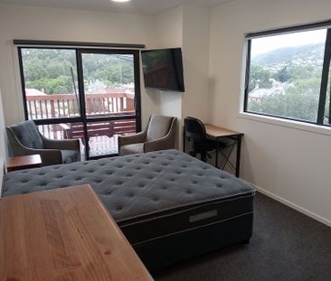 Stunning New Studio Rooms in North Dunedin - Photo 2