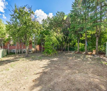 For Lease - 225 Essex Avenue Unit# lower Unit, Richmond Hill, Ontario - Photo 5