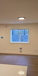 Brand New Two Bedroom Suite - Photo 4