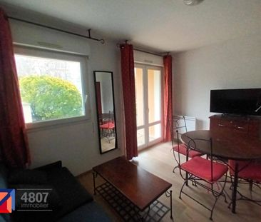 Location appartement 2 pièces 35.91 m² à Évian-les-Bains (74500) - Photo 6