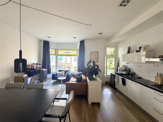 Appartement meublé Jan van Scorelstraat, Utrecht - À louer - Photo 1
