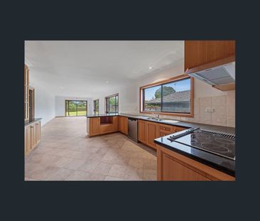 Spacious and Simple! - Photo 2